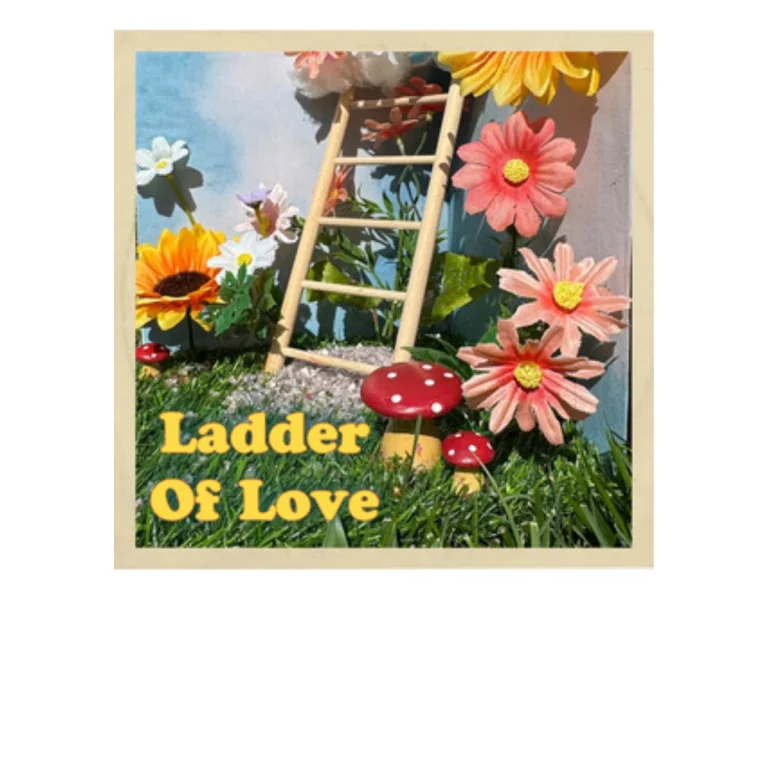 Ladder Of Love Album